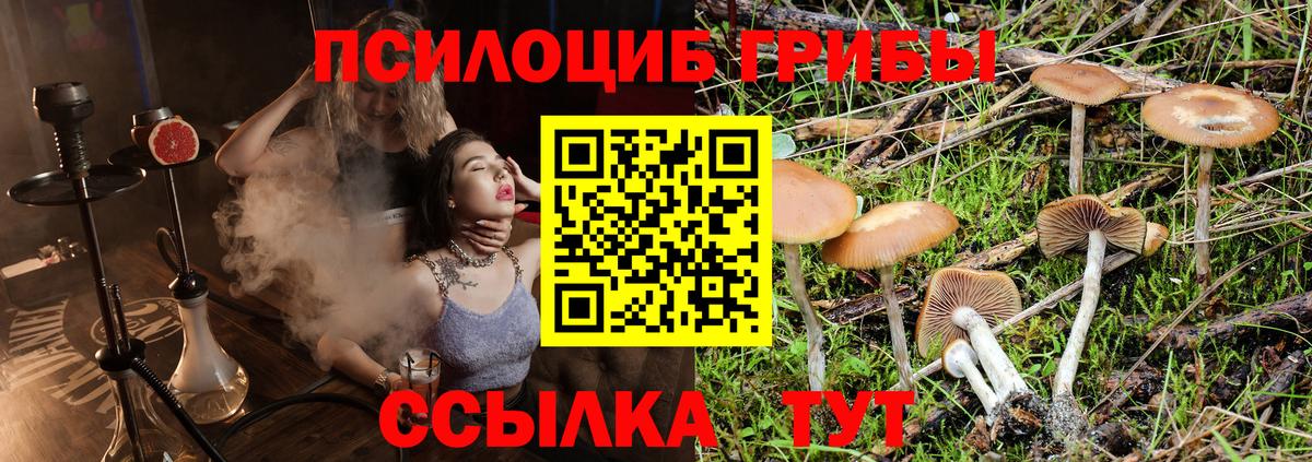 Борисоглебск  Галлюциногенные грибы Cubensis  Псилоцибиновые грибы мицелий  Вход с VPN 